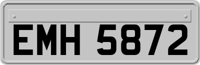 EMH5872