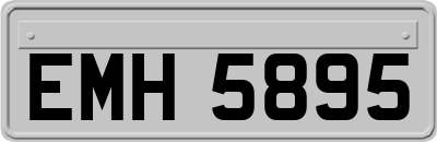 EMH5895