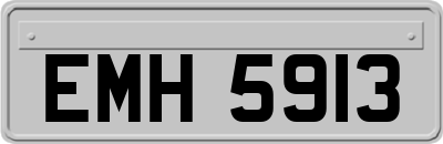 EMH5913
