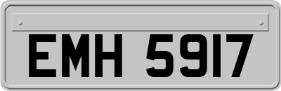 EMH5917