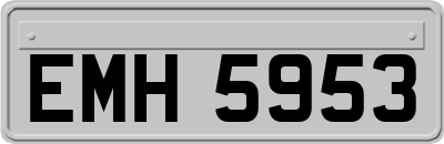 EMH5953