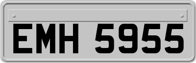 EMH5955