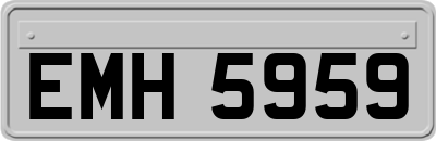 EMH5959