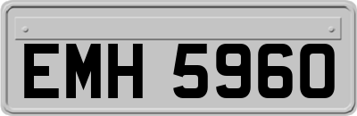 EMH5960