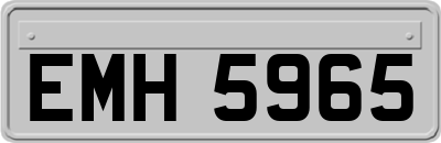 EMH5965