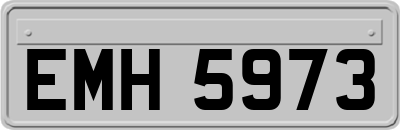 EMH5973