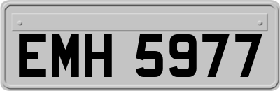 EMH5977