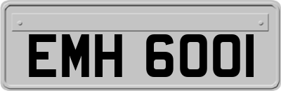 EMH6001