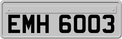 EMH6003