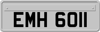 EMH6011