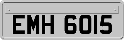 EMH6015
