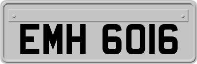 EMH6016