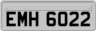 EMH6022