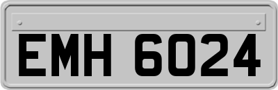 EMH6024