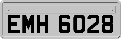 EMH6028