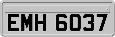EMH6037