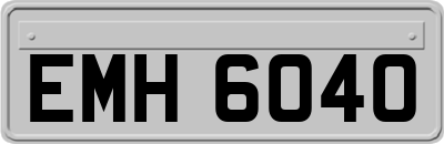 EMH6040