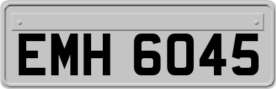 EMH6045