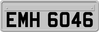 EMH6046