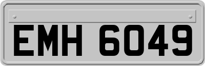 EMH6049
