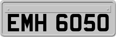 EMH6050