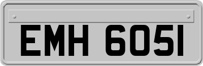 EMH6051