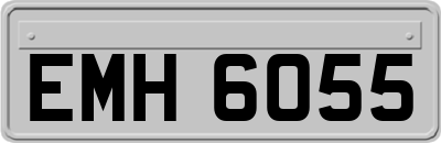 EMH6055