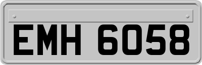 EMH6058
