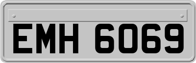 EMH6069