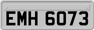 EMH6073