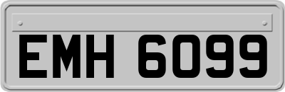 EMH6099