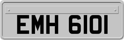 EMH6101
