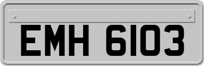 EMH6103