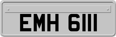 EMH6111