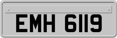 EMH6119