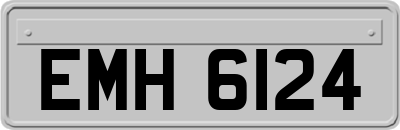 EMH6124