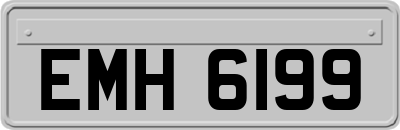 EMH6199