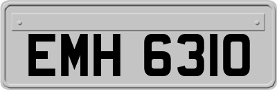 EMH6310