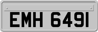 EMH6491