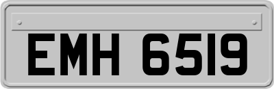 EMH6519