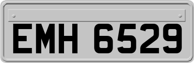 EMH6529