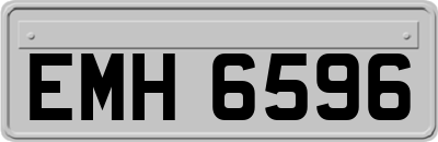 EMH6596