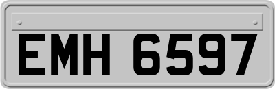 EMH6597