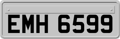 EMH6599