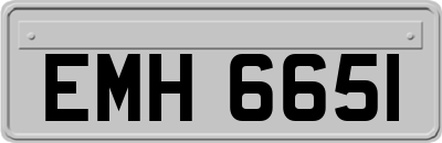 EMH6651