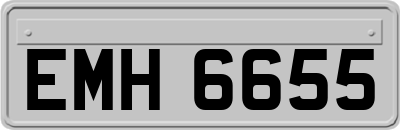 EMH6655