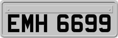 EMH6699