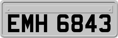 EMH6843