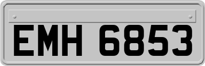EMH6853