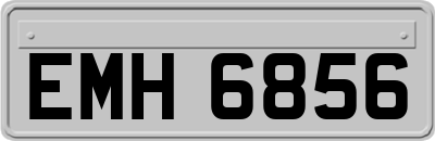 EMH6856